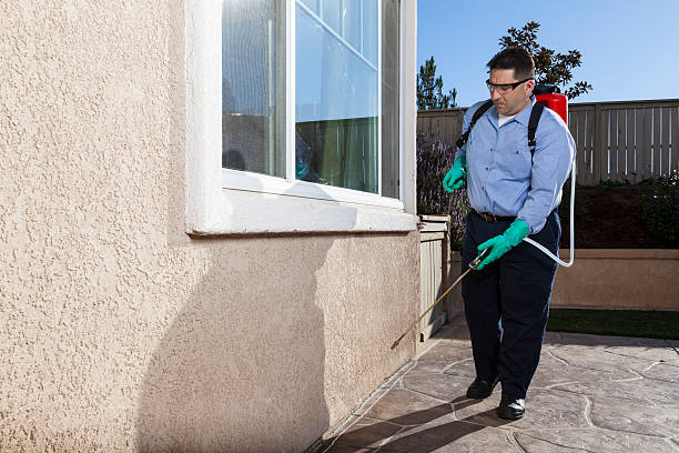 Reliable Collierville, CA Pest Control Solutions